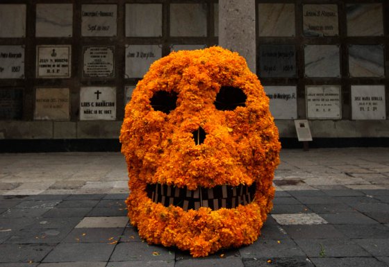 day of the dead skull covered in marigolds